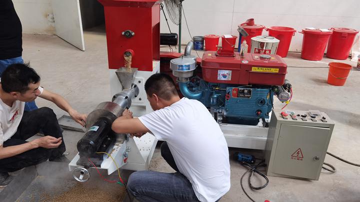 small scale pigs feed extruder machine in Zimbabwe